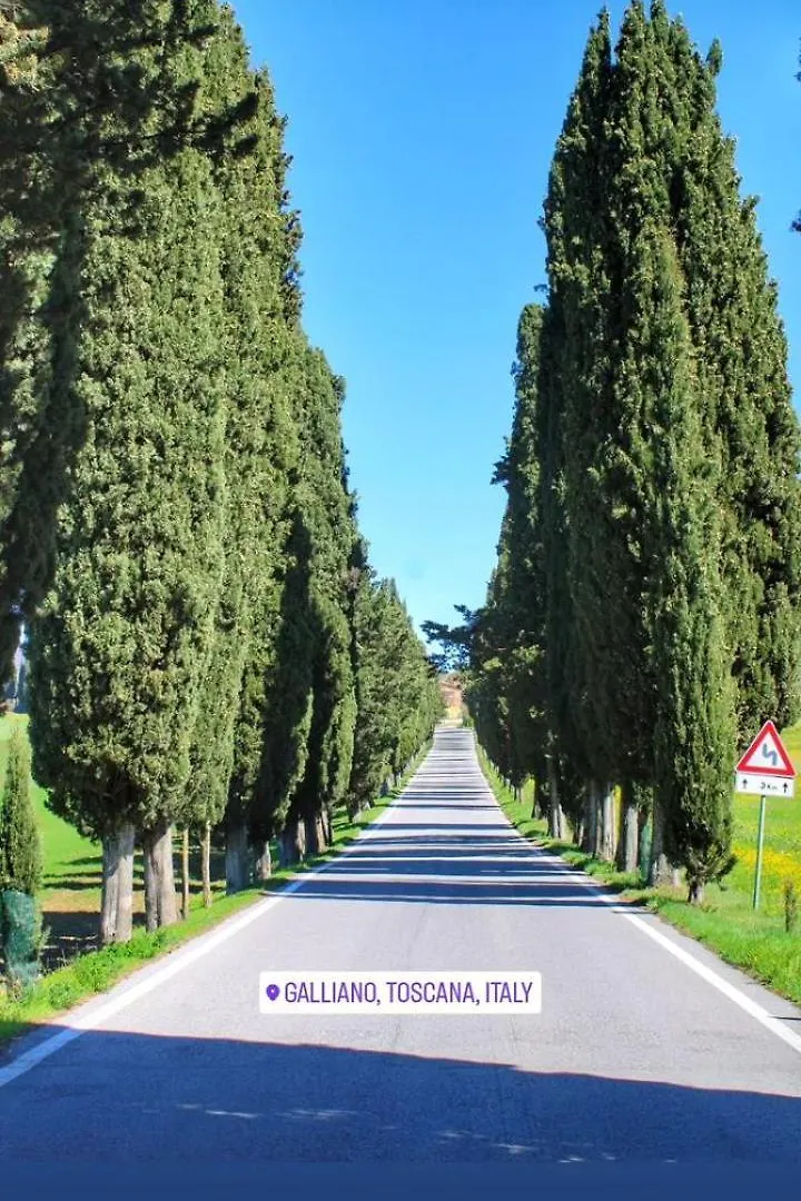 Il Marrondindo Bed & Breakfast Galliano