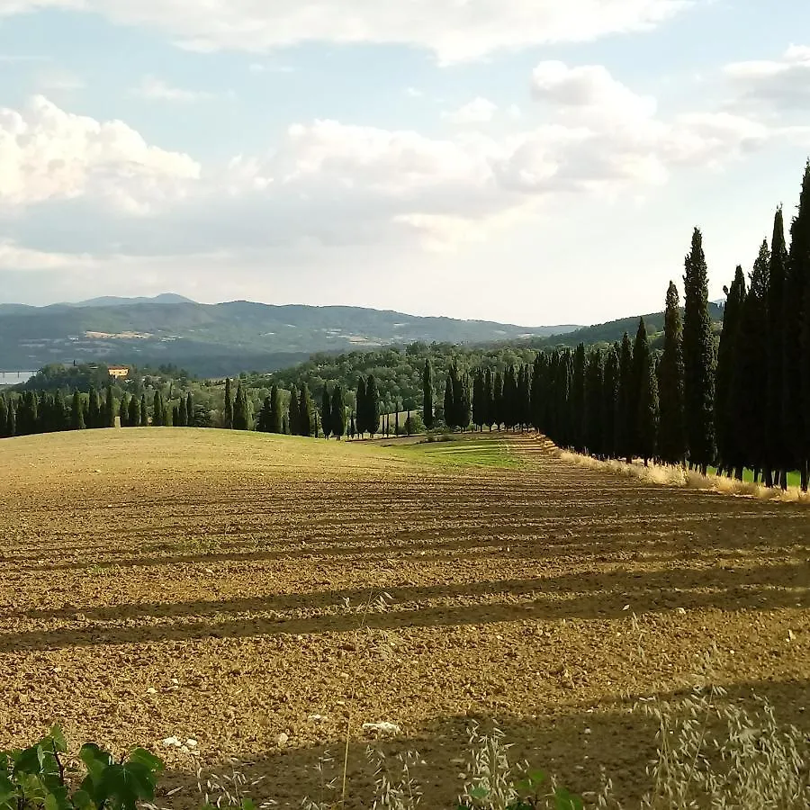 Il Marrondindo Bed & Breakfast Galliano